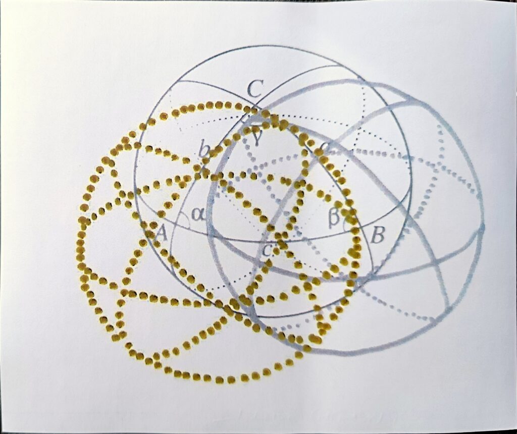 Renata Danicek-Brasil