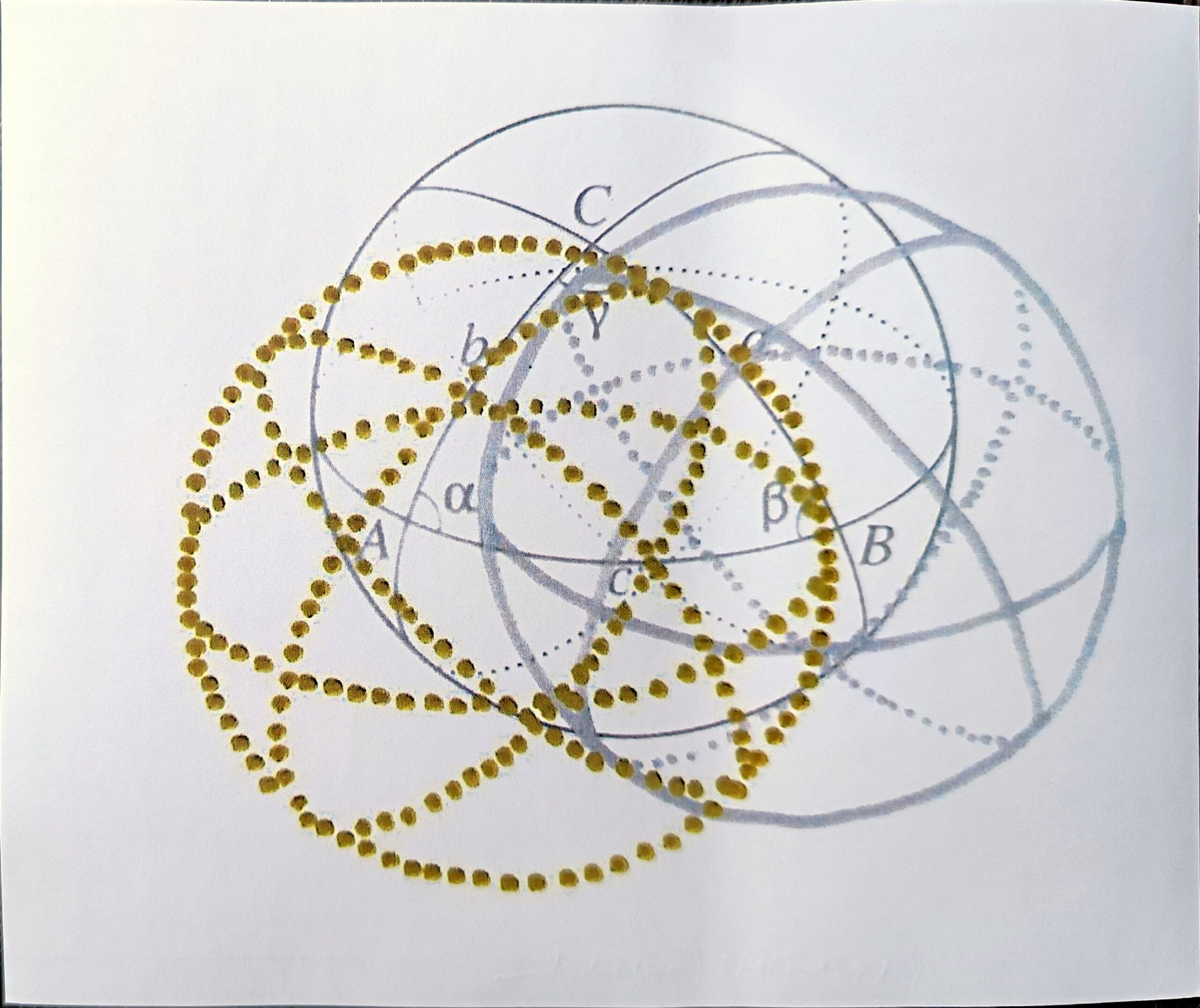 Renata Danicek-Brasil