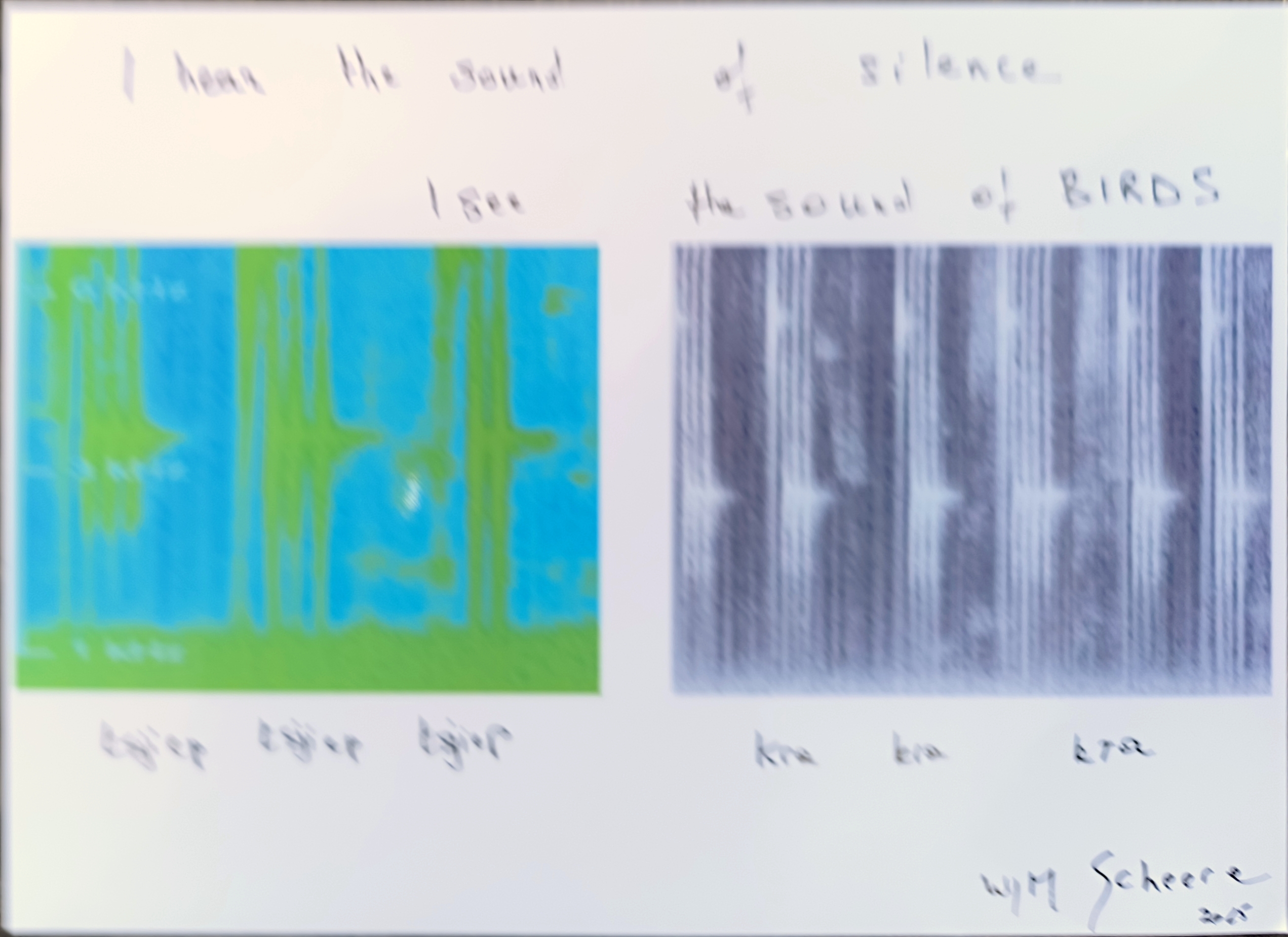 Wim Scheere- Belgium